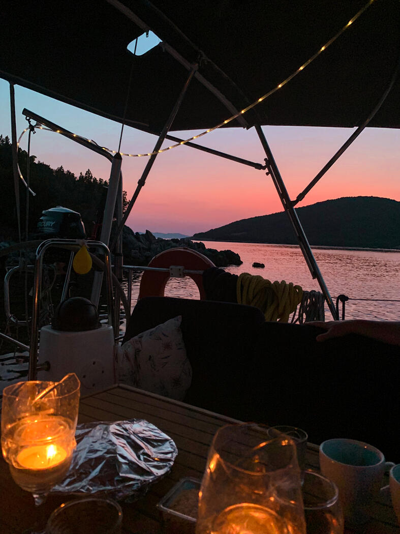 Carretta carretta turtles